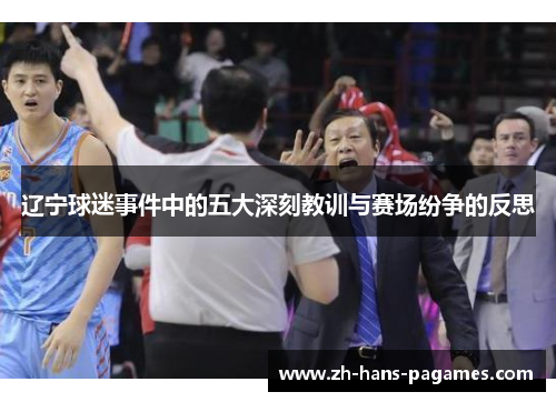 辽宁球迷事件中的五大深刻教训与赛场纷争的反思