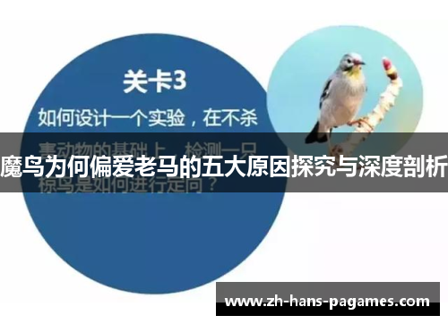 魔鸟为何偏爱老马的五大原因探究与深度剖析